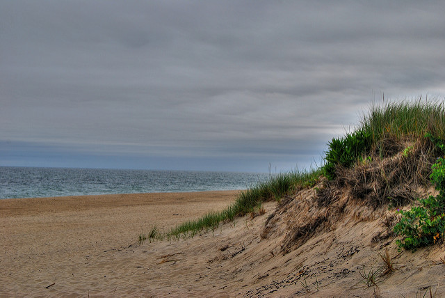 2666324742_eb7d3bfcef_z