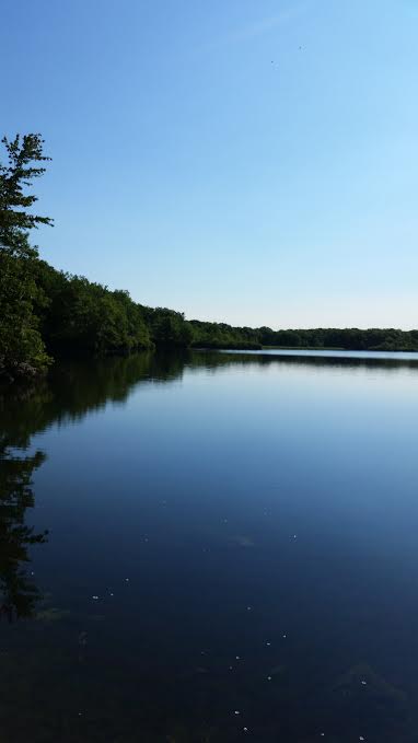 561cc9f8-c1cf-41ed-8fc1-ee21e62a4fa4