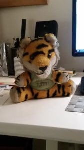 bdde79ce-ed8d-4761-9c84-4324a5775ae4