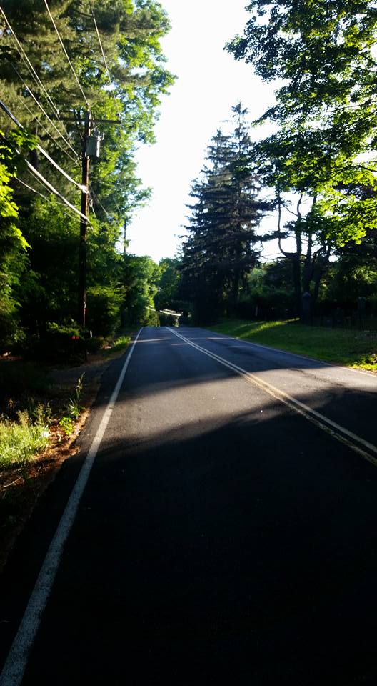 13529208_1271292196222198_1531066049455808347_n