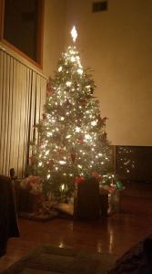 25659723_1996172087067535_9031153799937552340_n